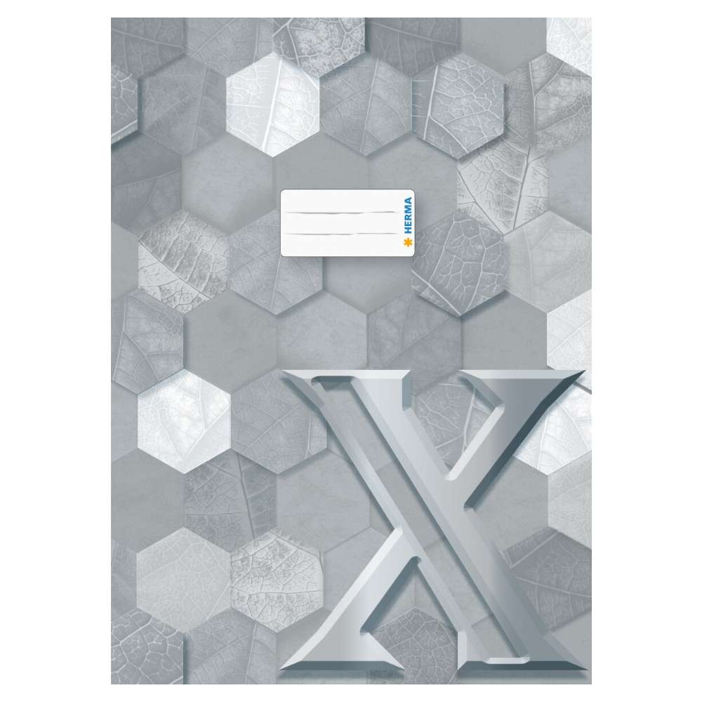 Karton Heftumschlag A4, Serie X, grau