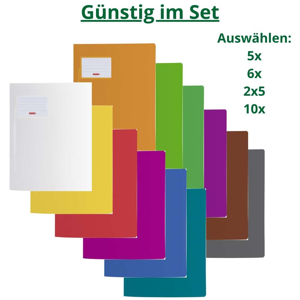 Brunnen Schnellhefter Fact!pp im Set