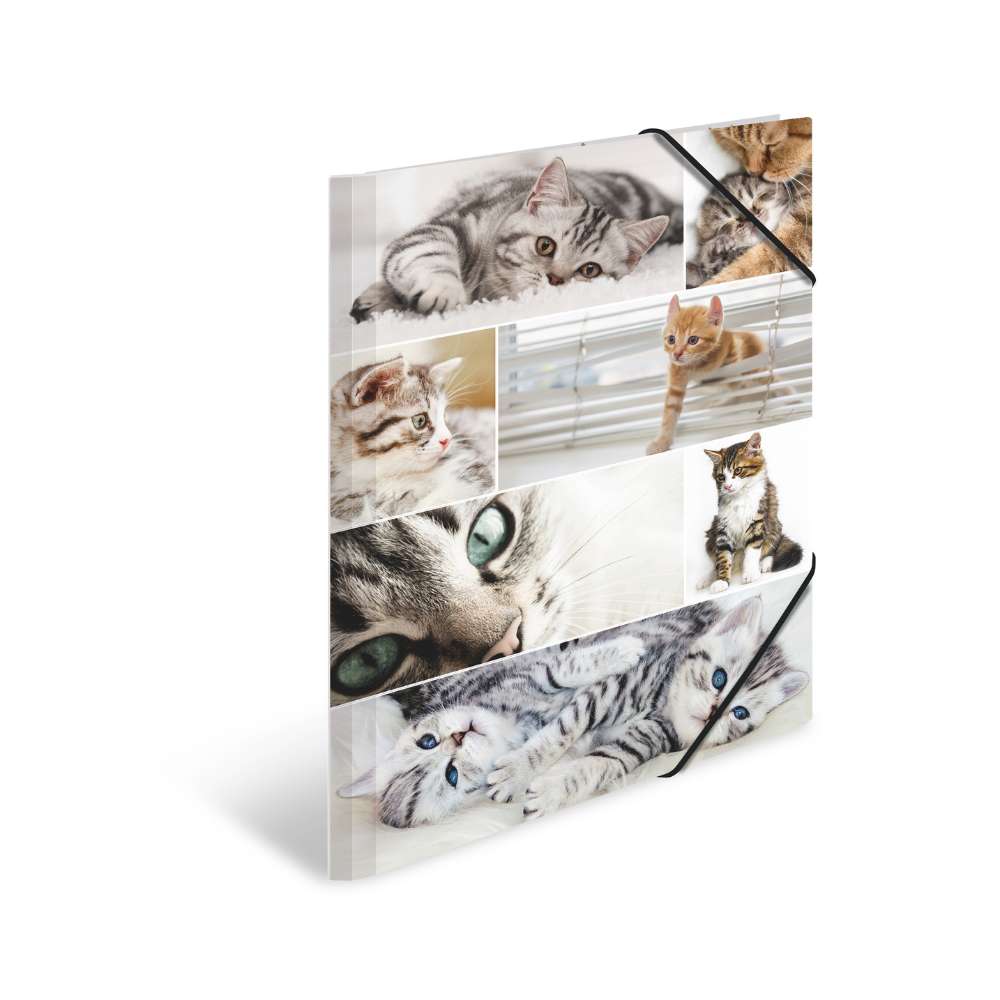 Kartonmappe A3, Katzen