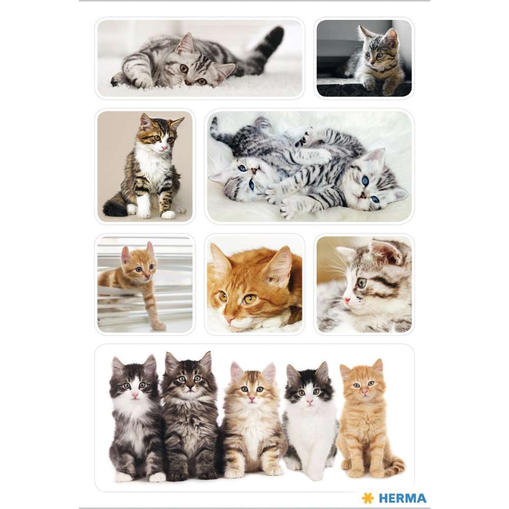 Sticker Katzenkinder, Herma