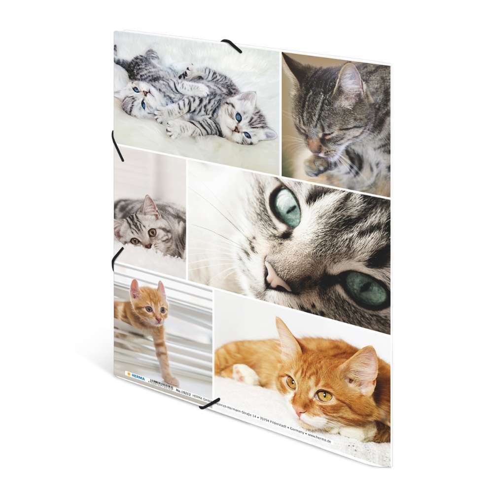 Kartonmappe A4, Katzen