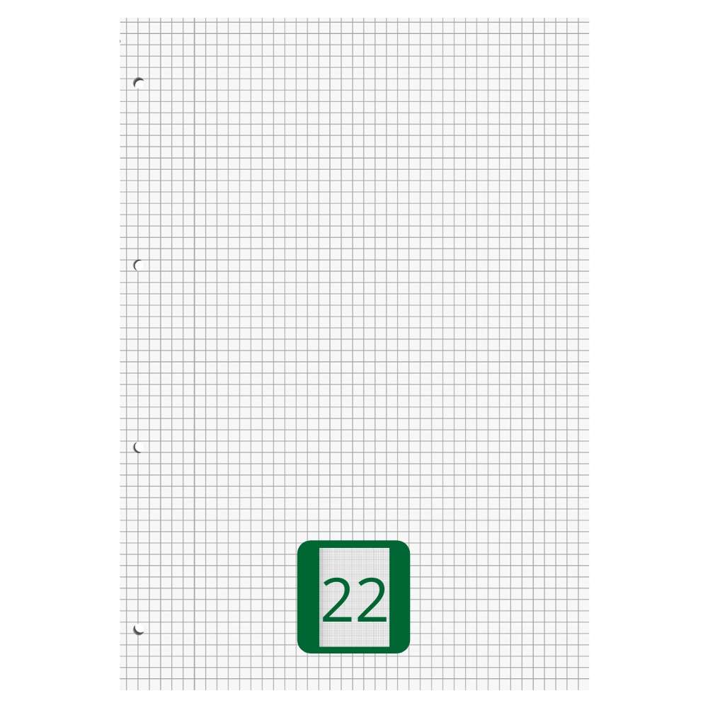 Ringbucheinlagen A4 kariert, Lineatur 22, 50 Blatt