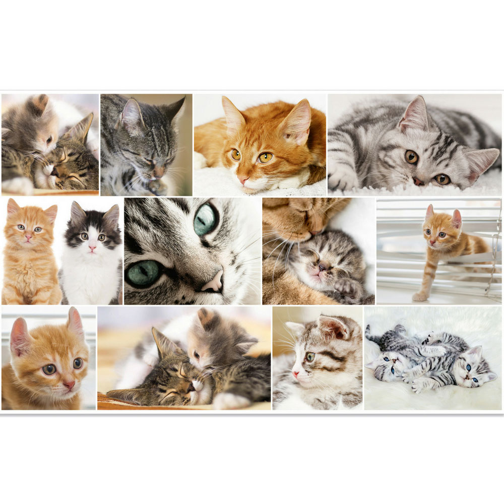Schreibtischunterlage mit Motiv, Katzen, Herma  (Wendemotiv)