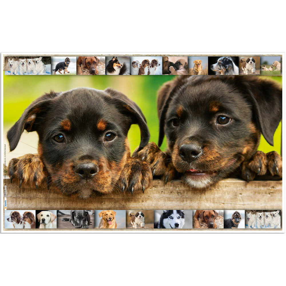 Schreibtischunterlage mit Motiv, Hunde, Herma  (Wendemotiv)