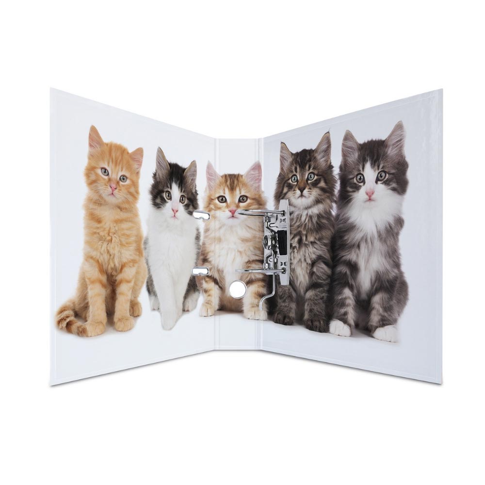 Ordner Tiere: Katzen
