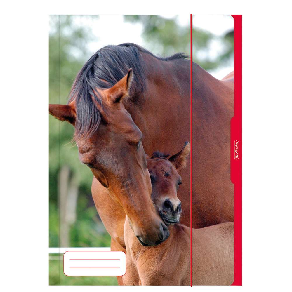 Herlitz Sammelmappe A3, Tiermotiv sortiert