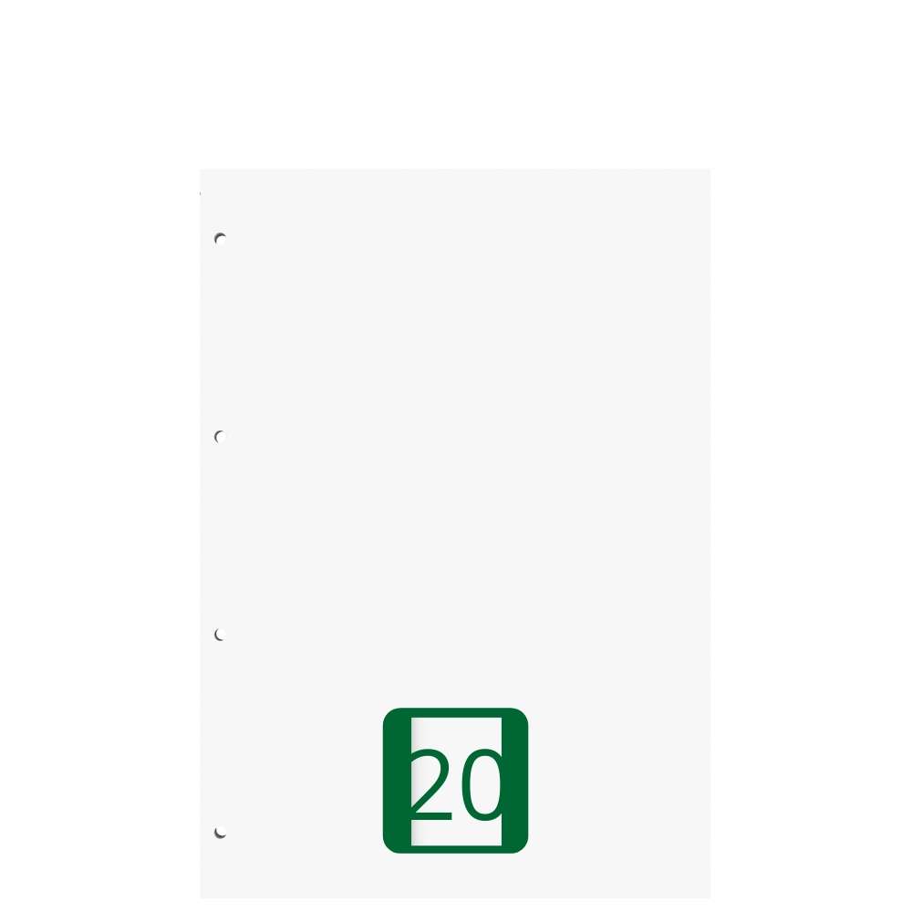 Ringbucheinlagen A5 blanko, Lineatur 20, 50 Blatt
