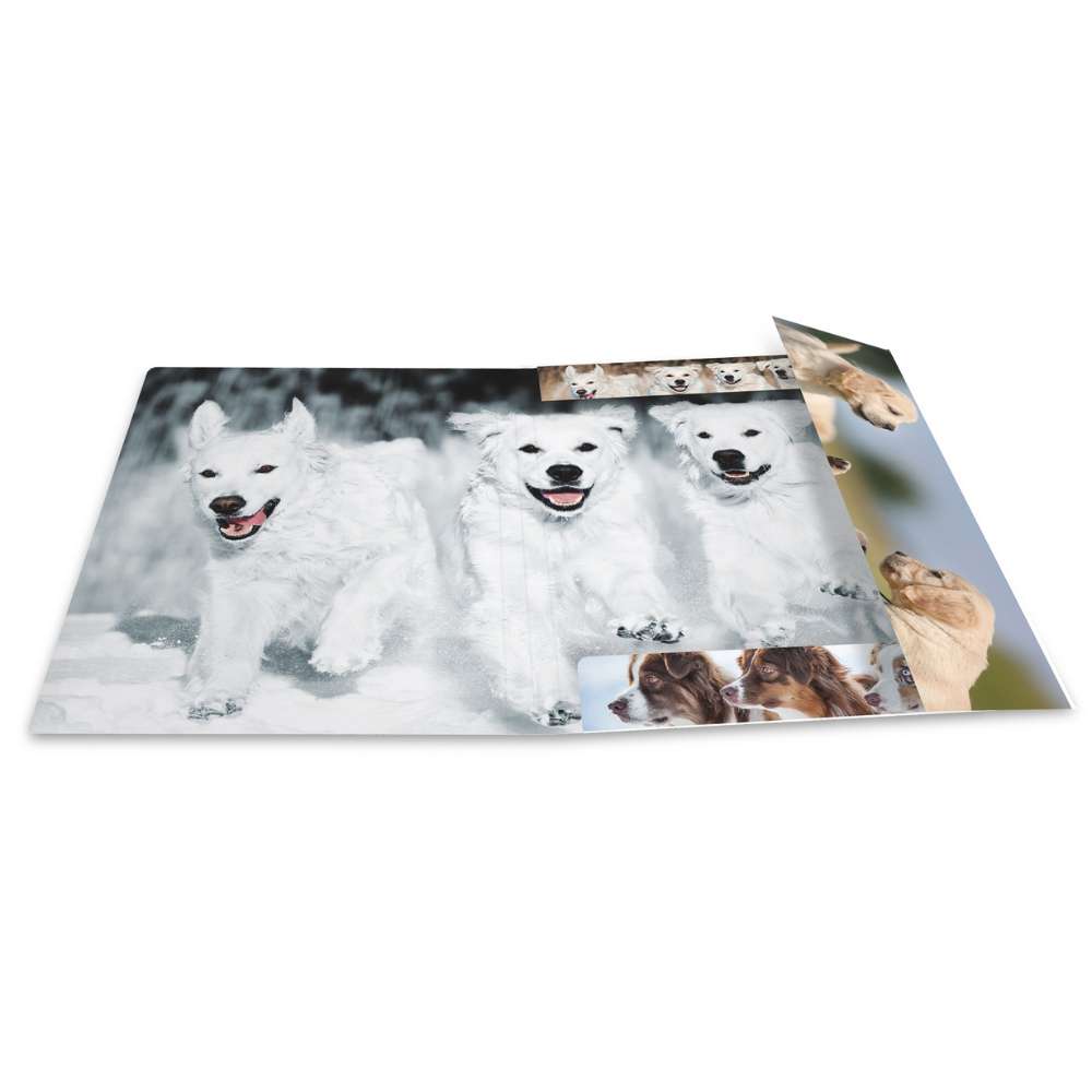 Kartonmappe A4, Hunde