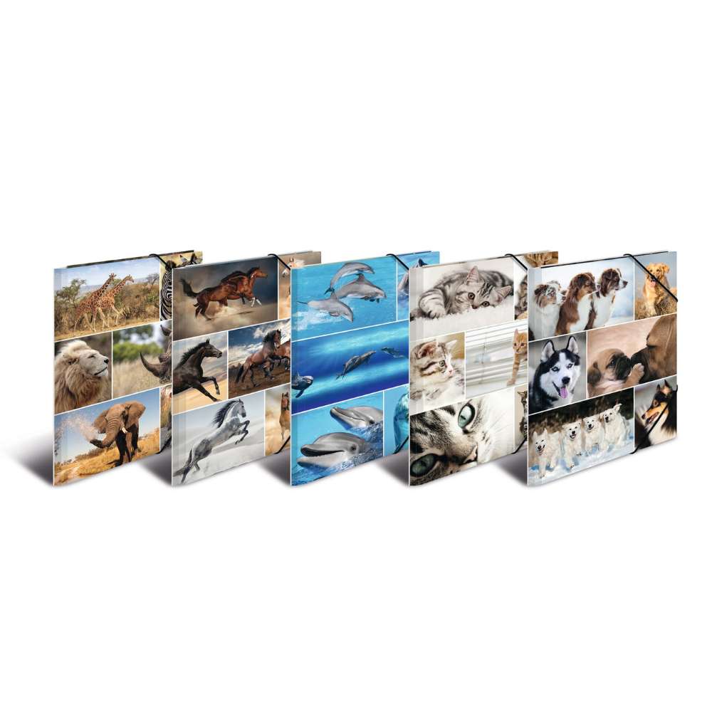 Kartonmappe A4, Katzen