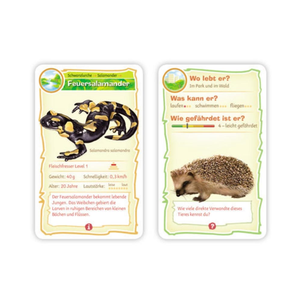 Naturbingo, Abenteuer Schule