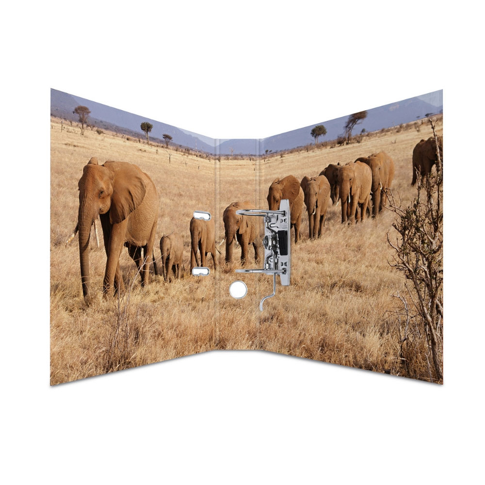 Ordner Tiere: Afrikanische Tiere