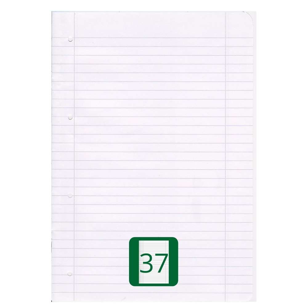 Aktion: A4 Heft, Lineatur 37, gelocht und perforiert