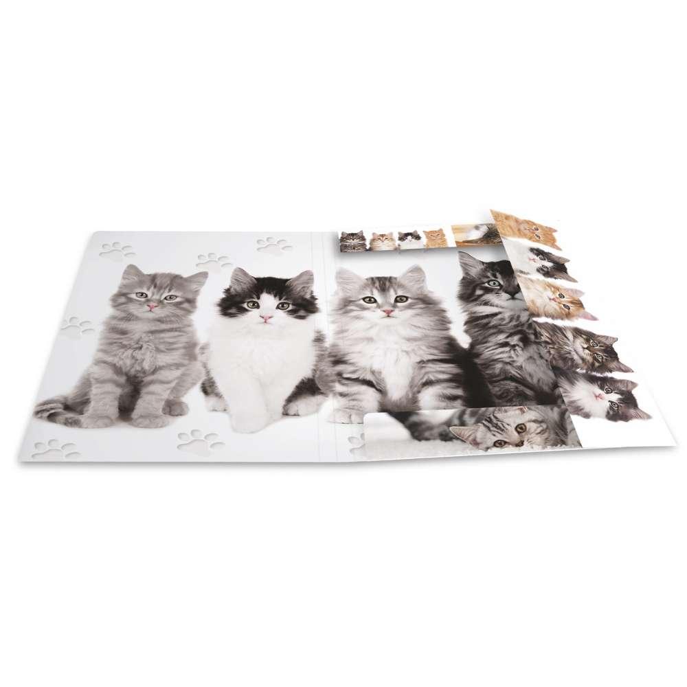 Kartonmappe A4, Katzen