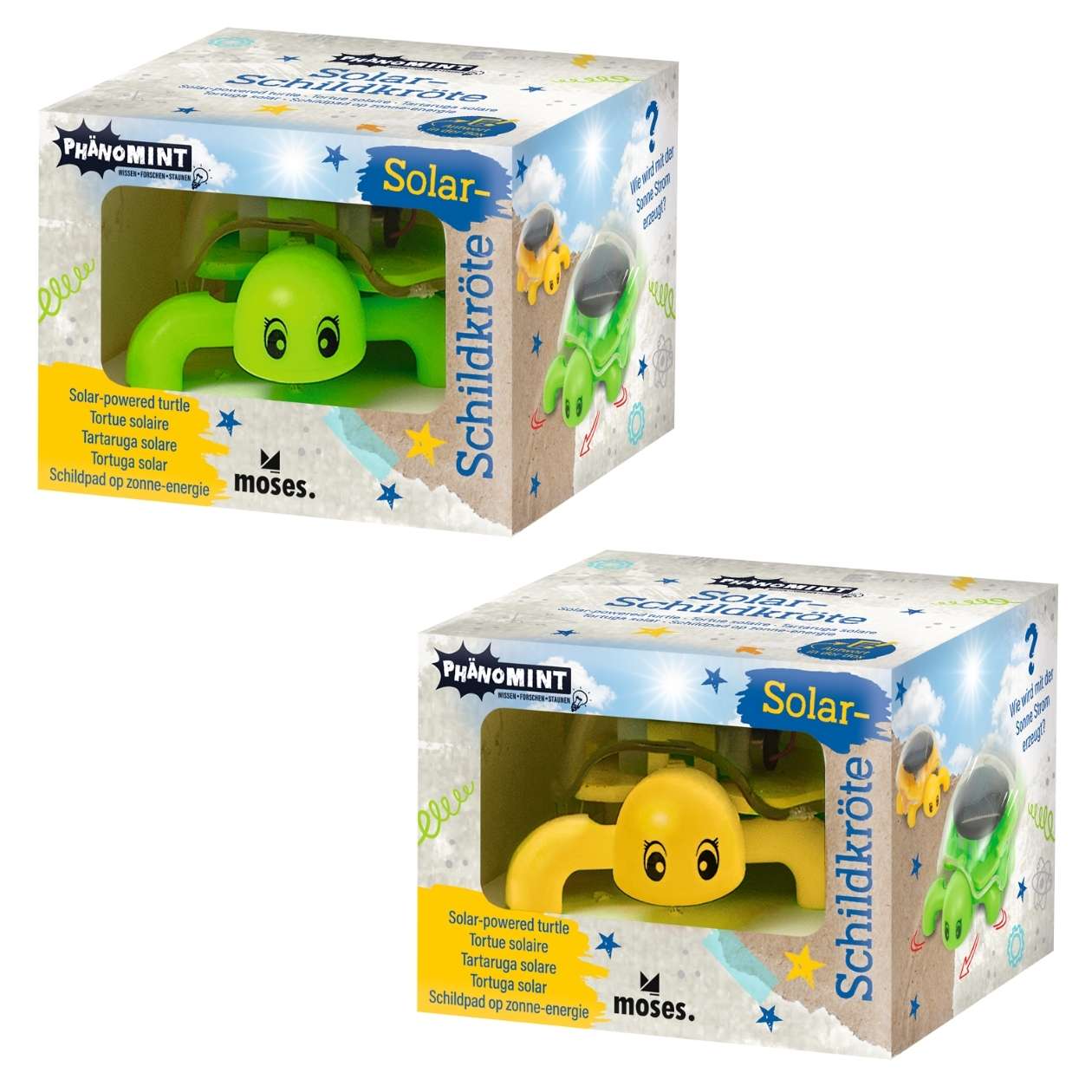 PhänoMINT Solar-Schildkröte, sortiert