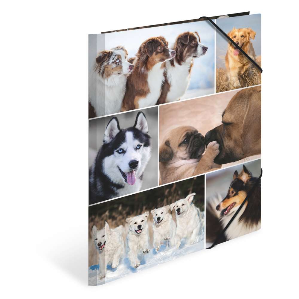 Kartonmappe A4, Hunde