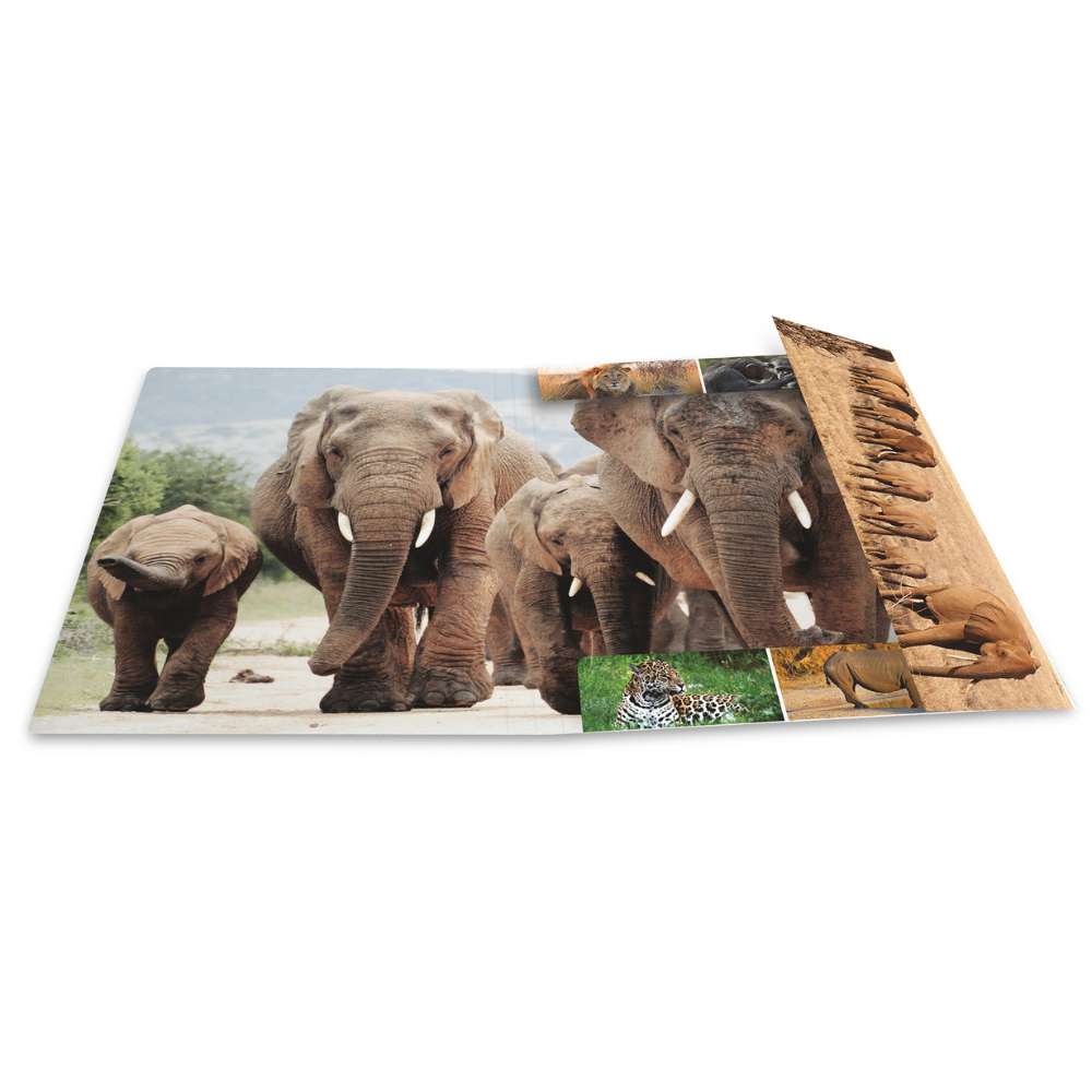 Kartonmappe A4, Afrikanische Tiere