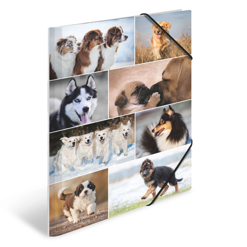 Kartonmappe A3, Hunde