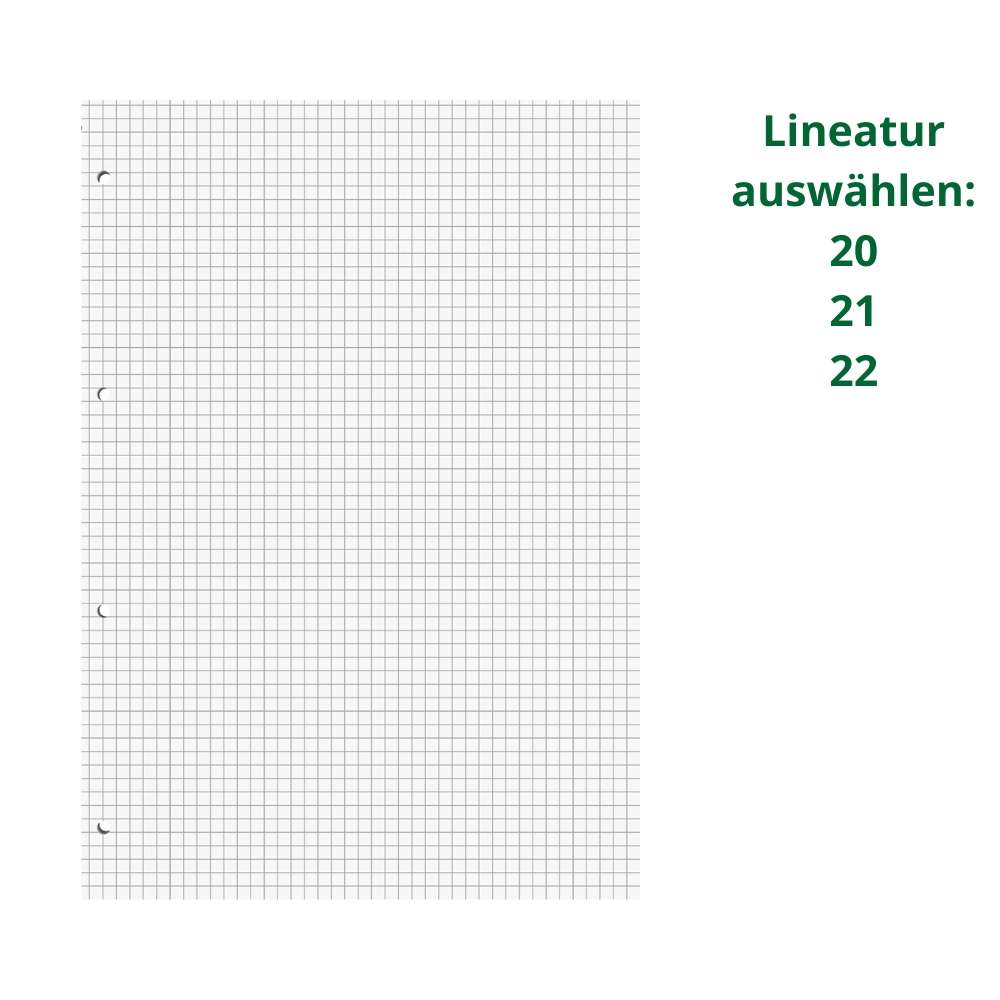 Ringbucheinlagen A5, 50 Blatt, verschiedene Lineaturen