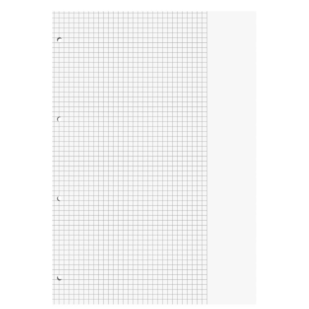 Schulblock Blauer Engel, Lineatur 26, DIN A4, gelocht