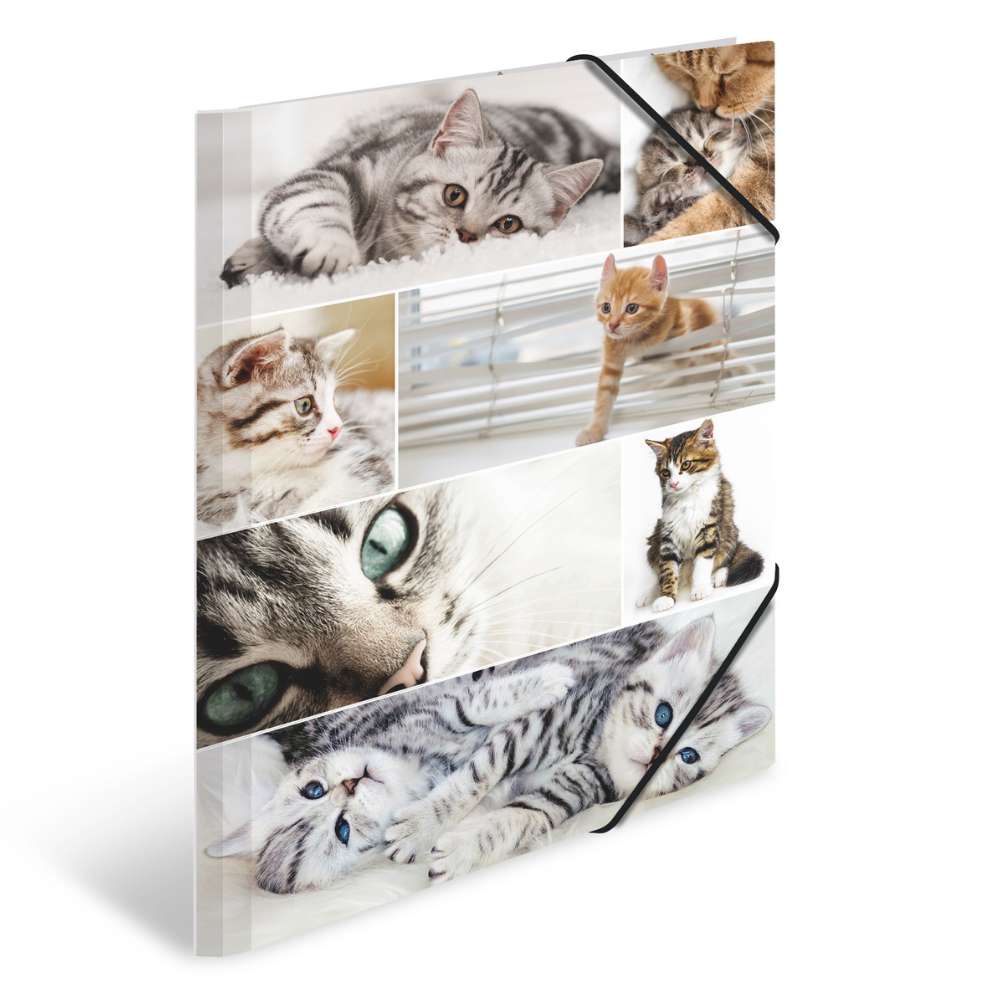 Kartonmappe A3, Katzen