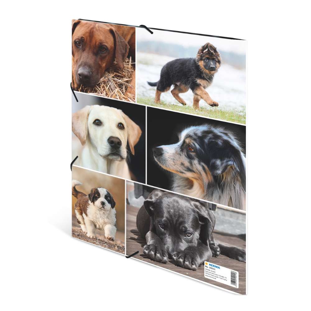 Kartonmappe A4, Hunde