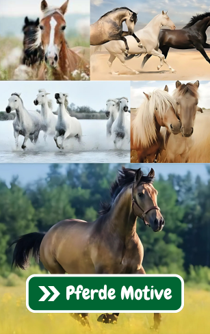 Pferde Collage verschiedener Pferde Motive