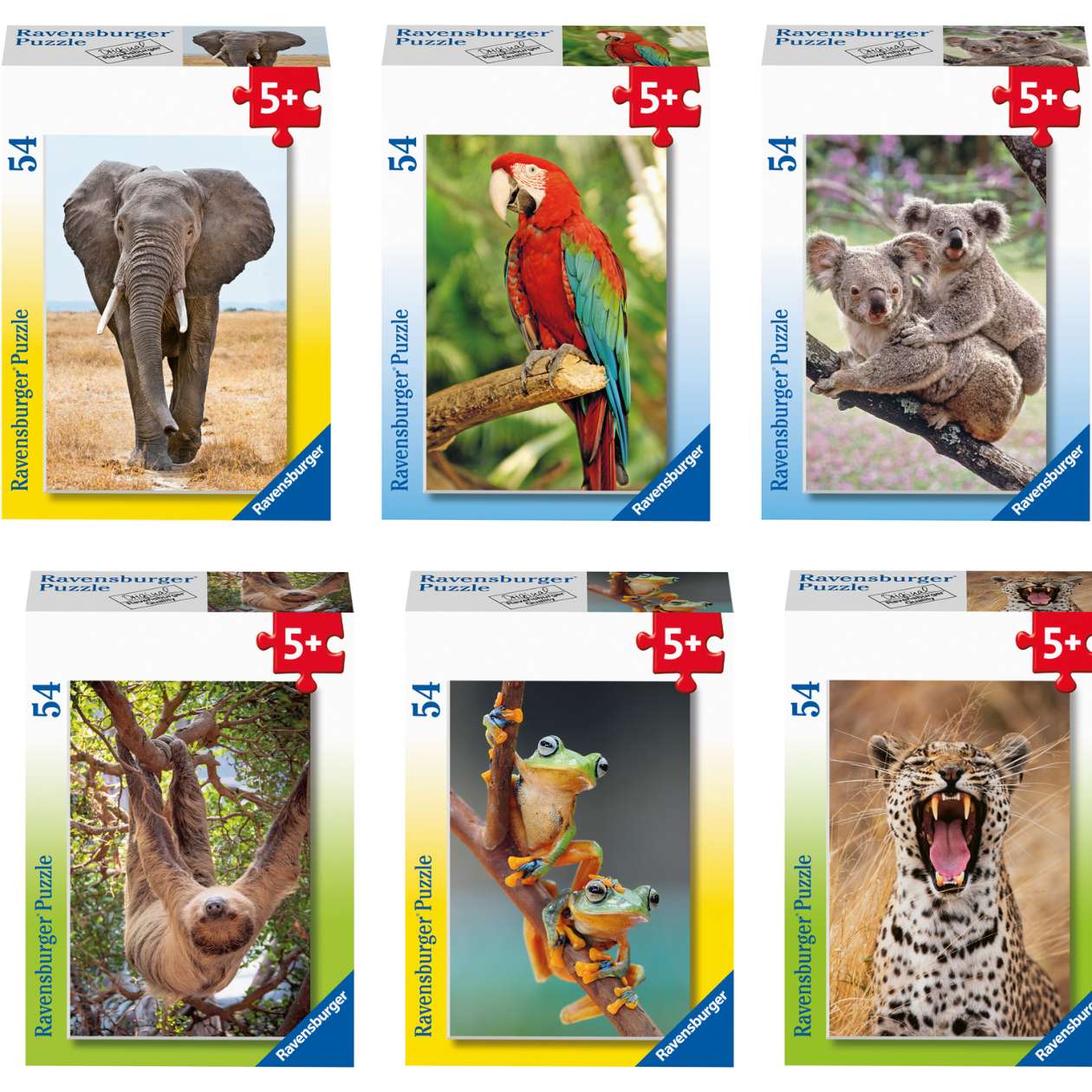 Mini Puzzle Exotische Tiere, sortiert