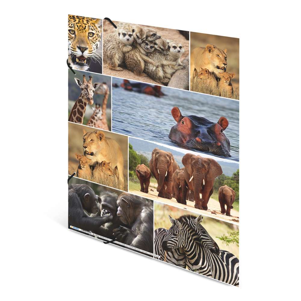 Kartonmappe A3, Afrikanische Tiere