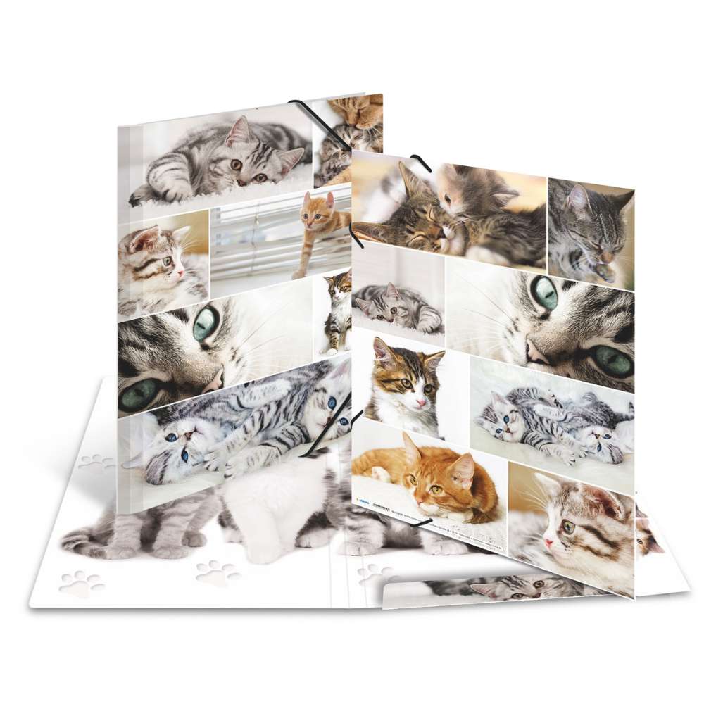 Kartonmappe A3, Katzen