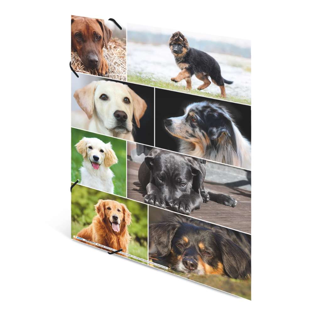 Kartonmappe A3, Hunde