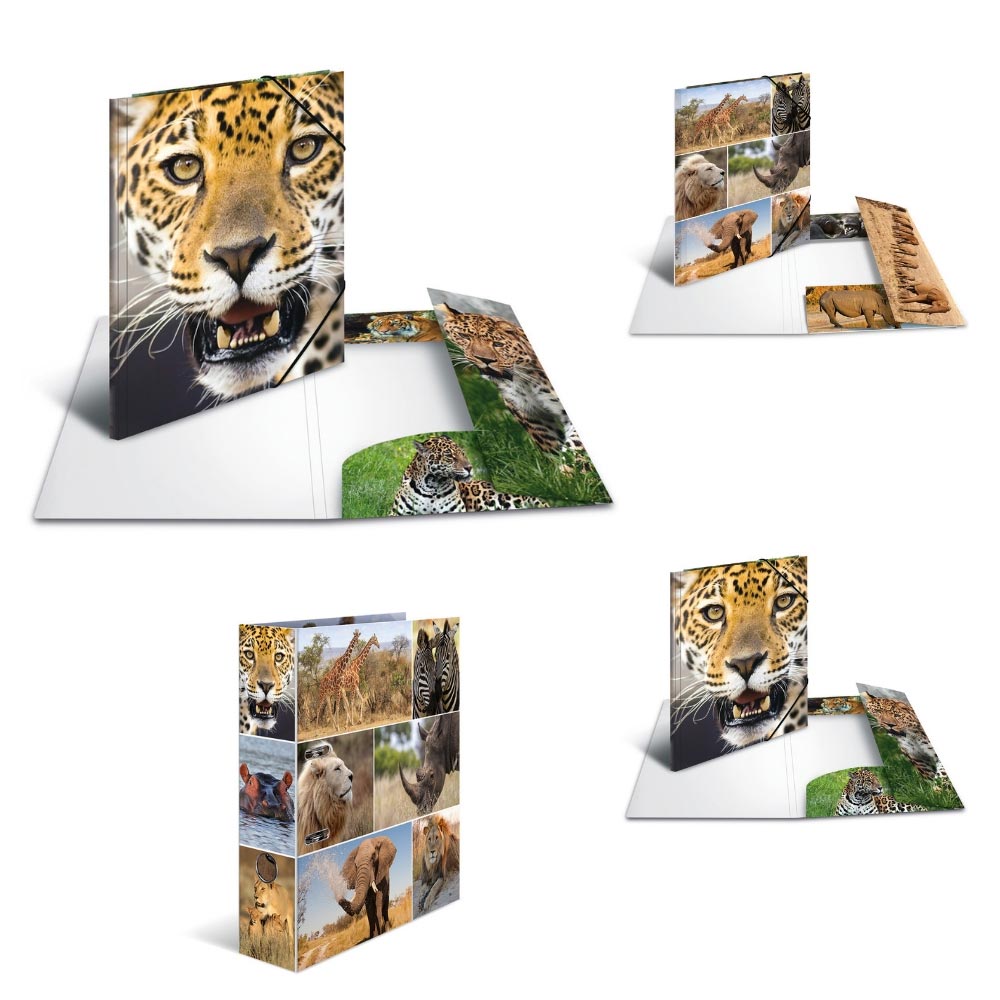 Ordner Tiere: Afrikanische Tiere