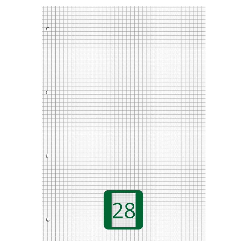 Ringbucheinlagen A4 kariert mit Doppelrand, Lineatur 28, 50 Blatt