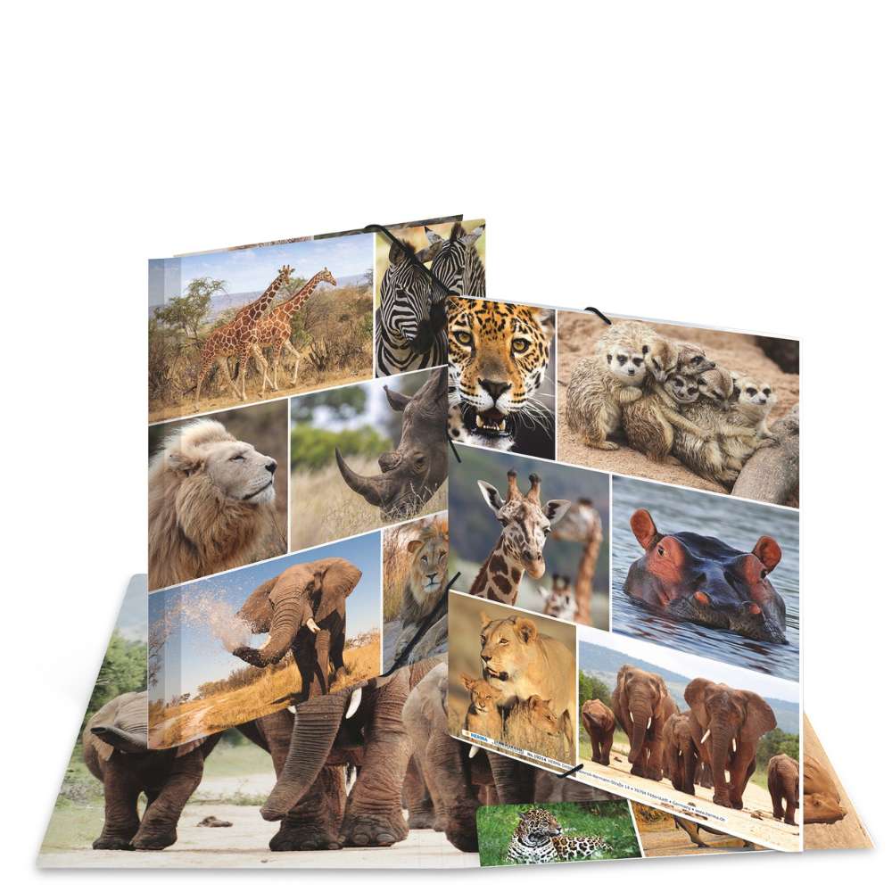 Kartonmappe A4, Afrikanische Tiere