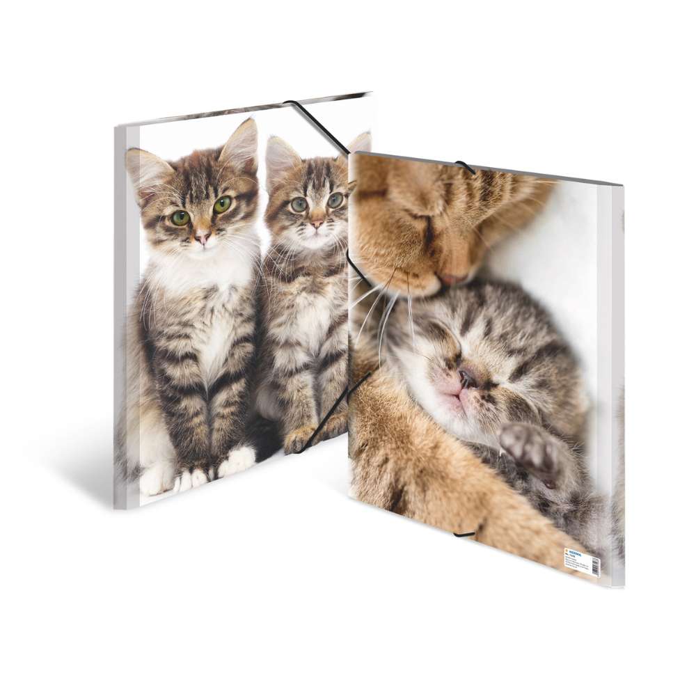 Zeichenmappe A3, Katzen (PP)