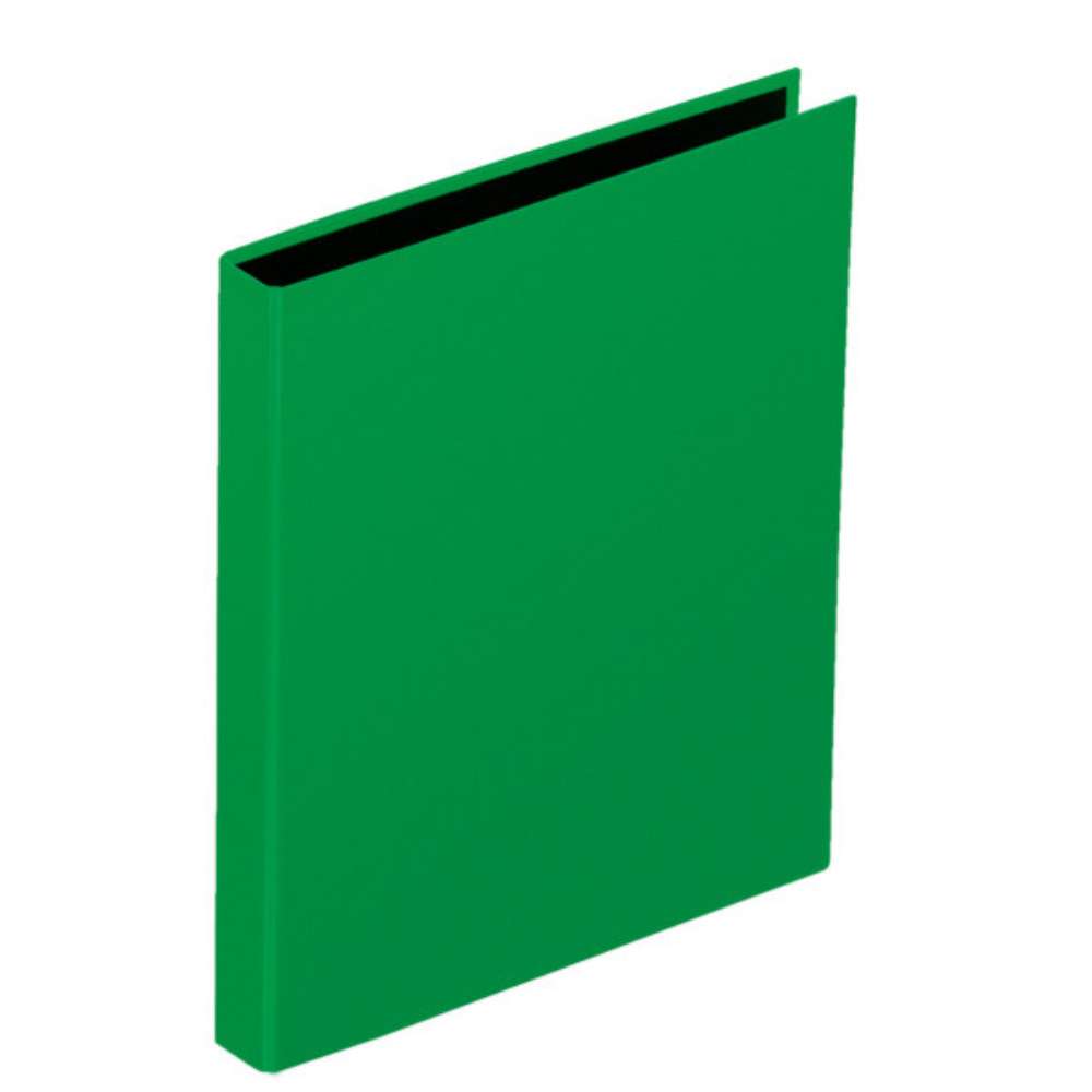Pagna Ringbuch A4, grün