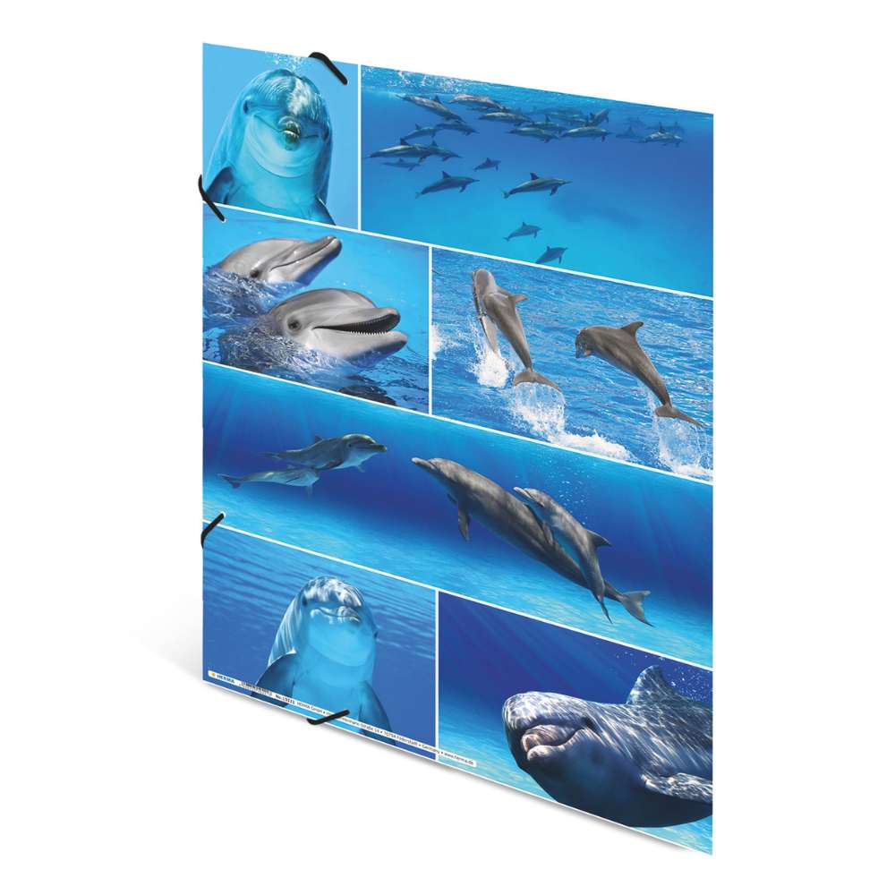 Kartonmappe A3, Delfine