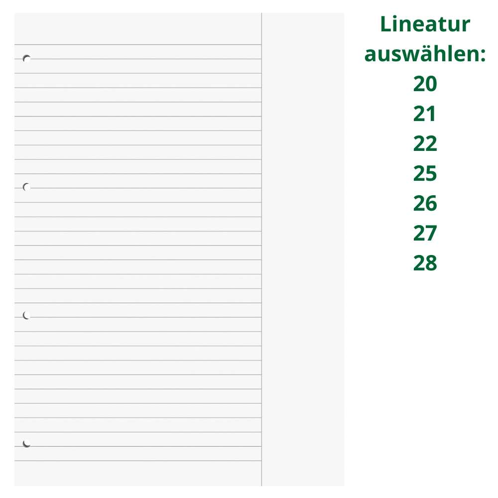 Ringbucheinlagen A4, 50 Blatt, verschiedene Lineaturen