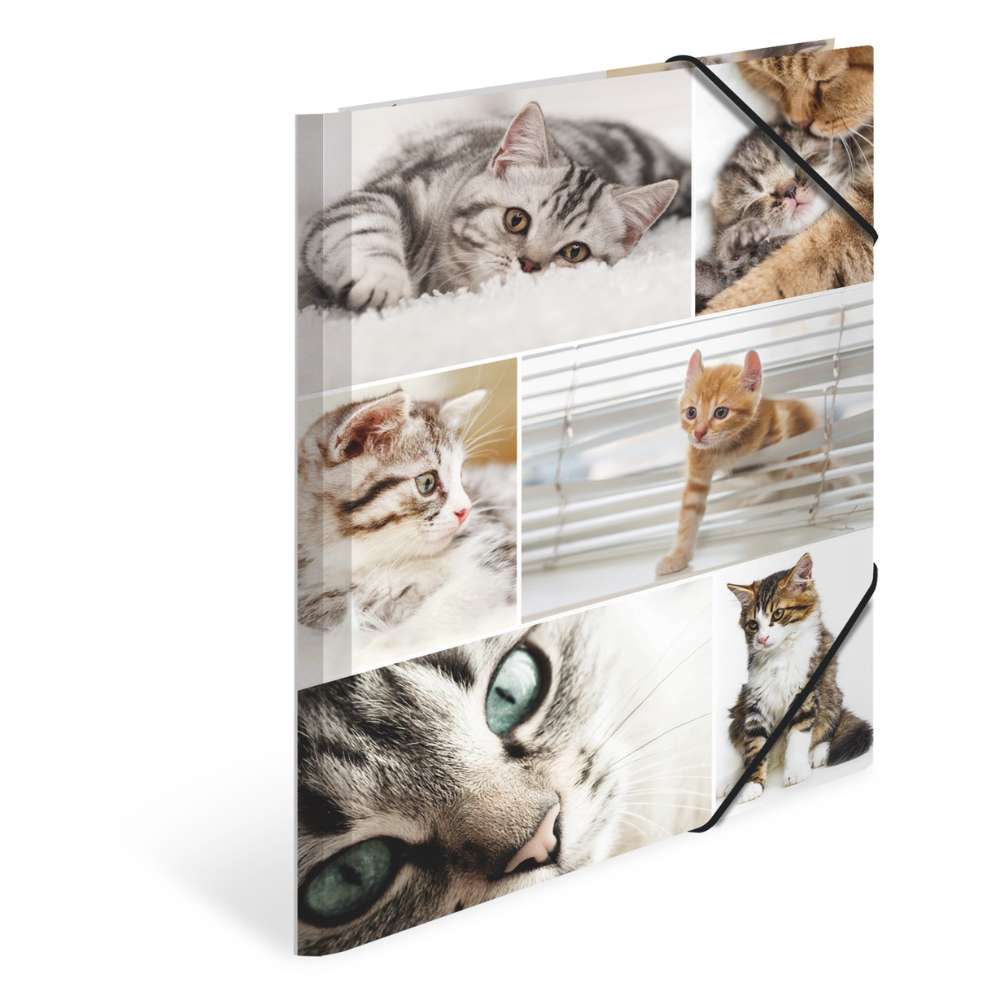 Kartonmappe A4, Katzen