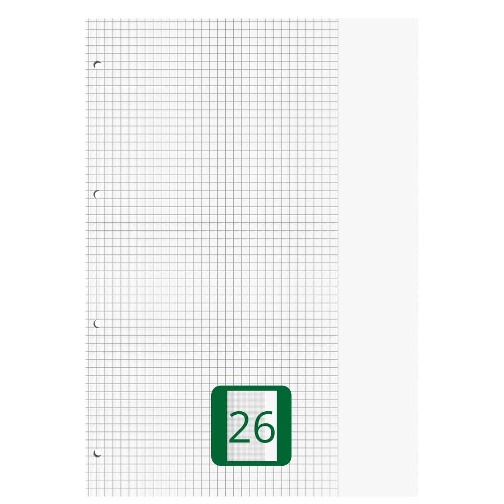 Ringbucheinlagen A4 kariert mit Rand, Lineatur 26, 50 Blatt