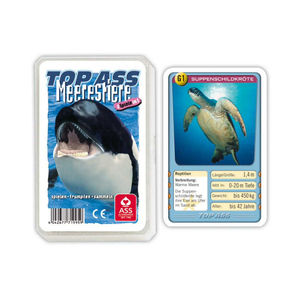 Quartett Tiere: Meerestiere
