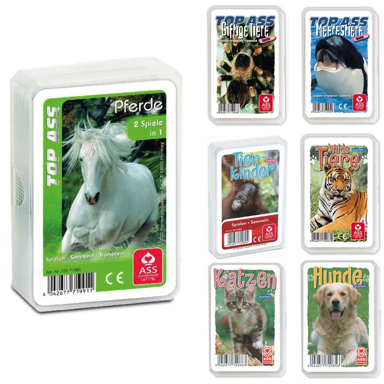 Quartett Tiere, verschiedene Ausführungen