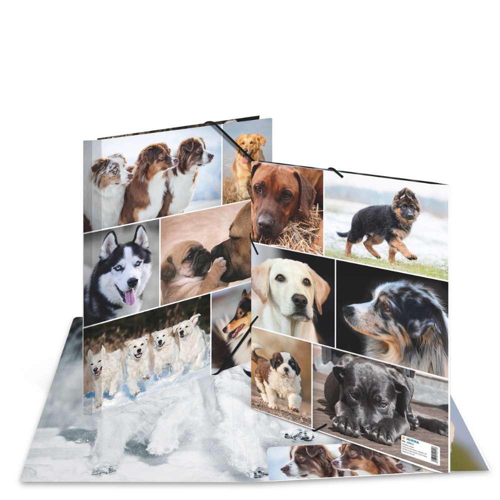 Kartonmappe A4, Hunde