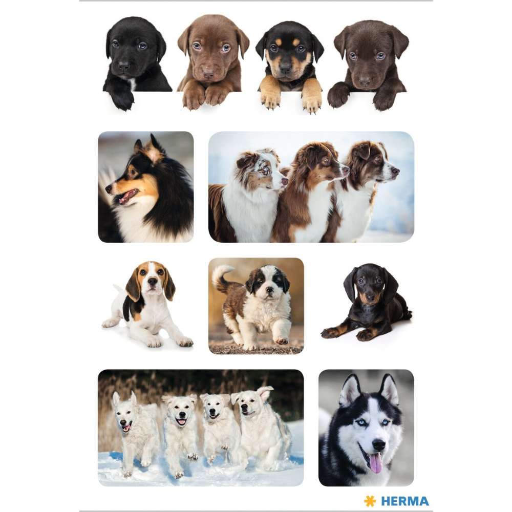 Sticker Hundelieblinge, Herma