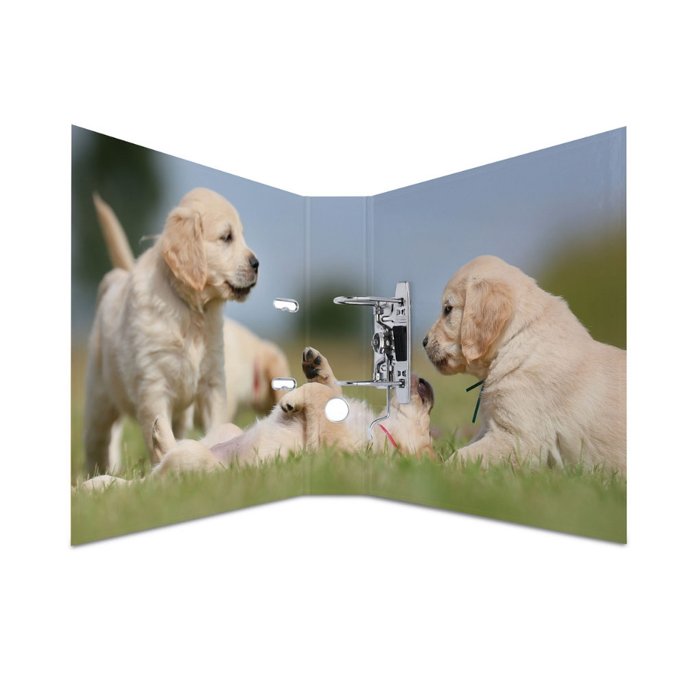 Ordner Tiere: Hunde