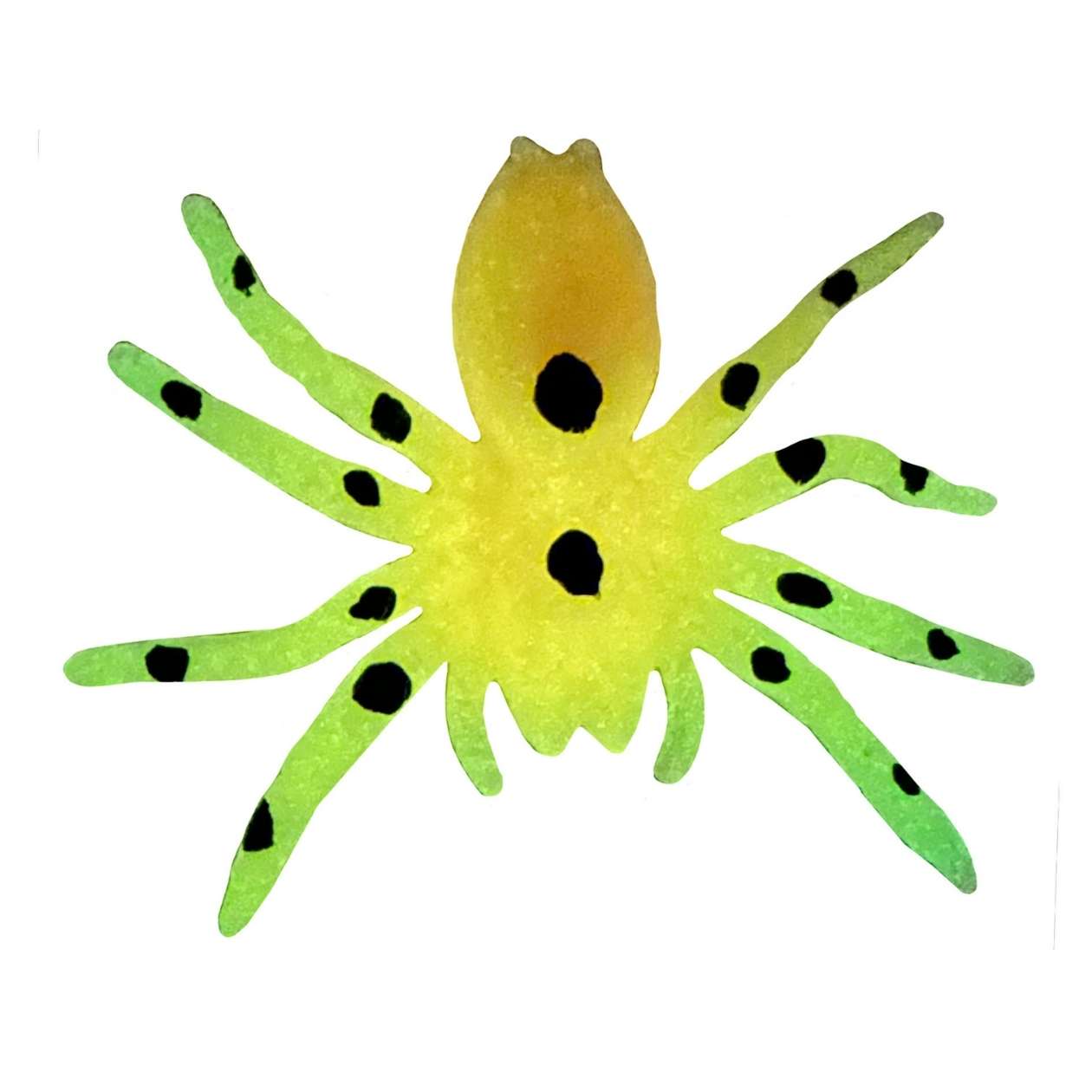 Glow in the dark Spinnen