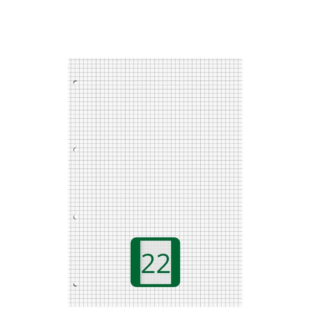 Ringbucheinlagen A5 kariert, Lineatur 22, 50 Blatt