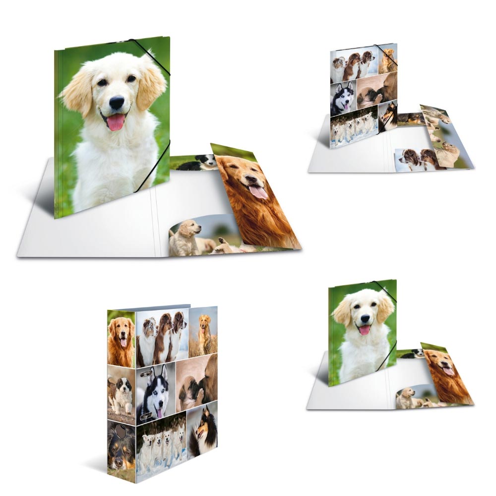 Ordner Tiere: Hunde