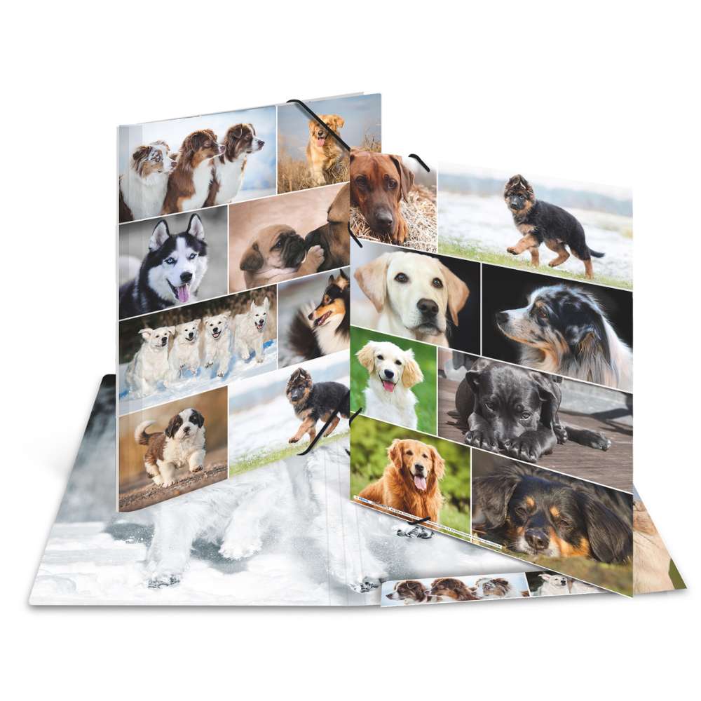 Kartonmappe A3, Hunde
