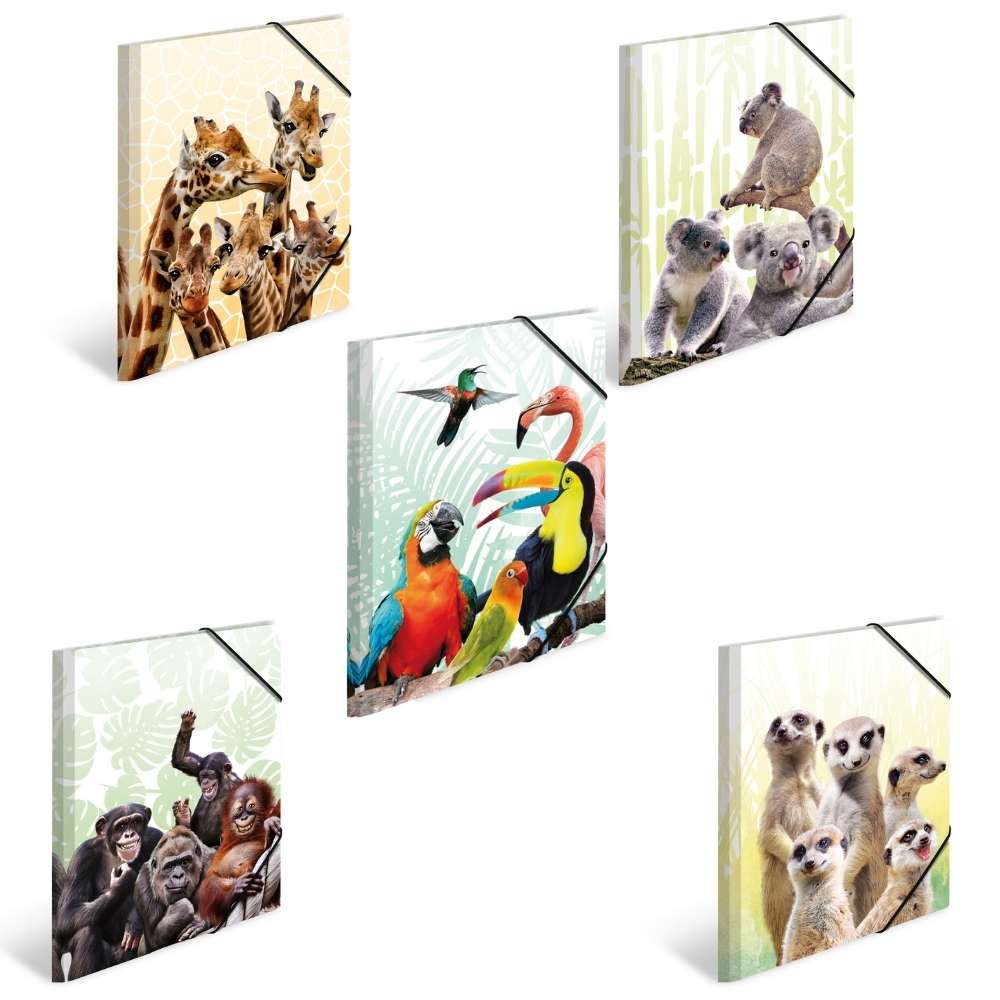 Herma Sammelmappe A3, exotische Tiere, Erdmännchen