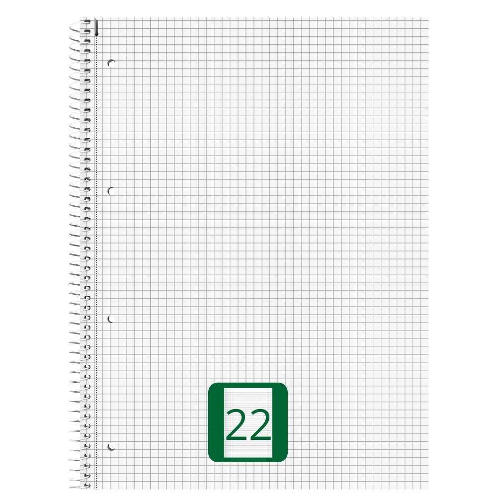 Collegeblock kariert, Lineatur 22, 80 Blatt
